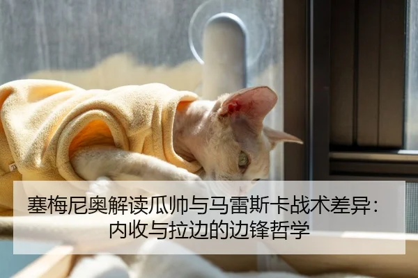 塞梅尼奥解读瓜帅与马雷斯卡战术差异：内收与拉边的边锋哲学