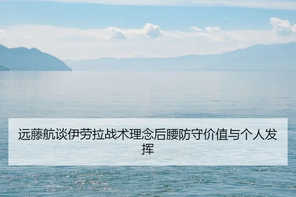 远藤航谈伊劳拉战术理念后腰防守价值与个人发挥